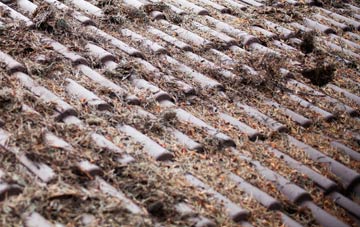 Dutson roof cleaning companies